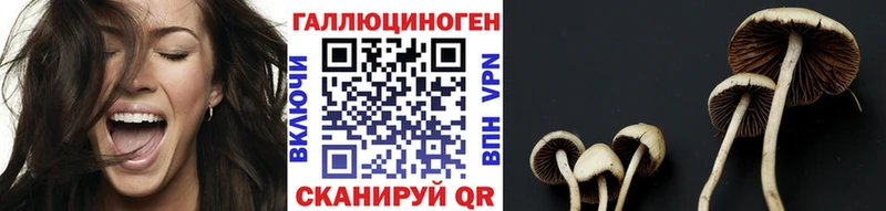 Галлюциногенные грибы мухоморы  цены   кракен ССЫЛКА  Подольск 